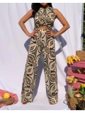 Conjunto Monte Carlo